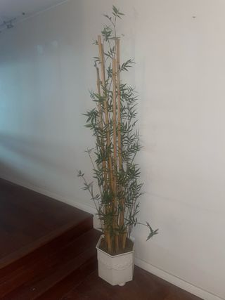 Planta de bambú artificial con maceta aktura 2 met