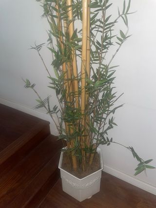 Planta de bambú artificial con maceta aktura 2 met
