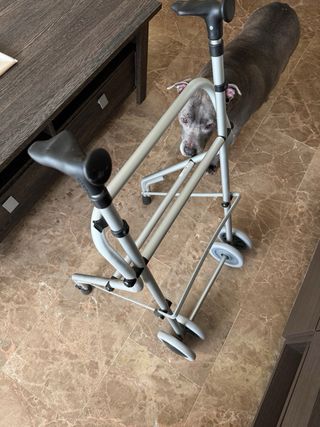 Andador plegable con ruedas - precio negociable.