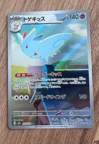 Carte Pokémon edizione giapponese EX