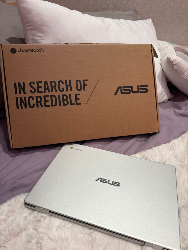 Chromebook Asus Plateado