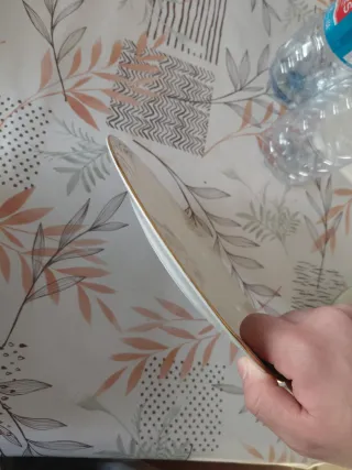 12 Platos de cerámica con borde dorado