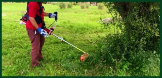 Trabajos limpieza desbroces