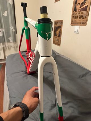 Cuadro Elves Vanyar （sin manillar ）