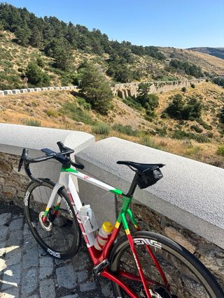 Cuadro Elves Vanyar （sin manillar ）