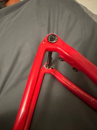 Cuadro Elves Vanyar （sin manillar ）