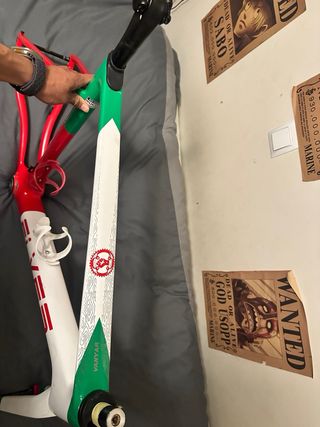 Cuadro Elves Vanyar （sin manillar ）