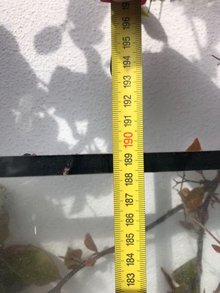 Cristal grande con marco negro