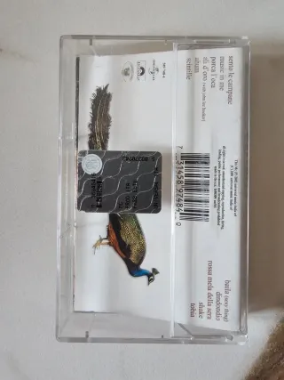 Zucchero - Shake MC musicassetta 2002