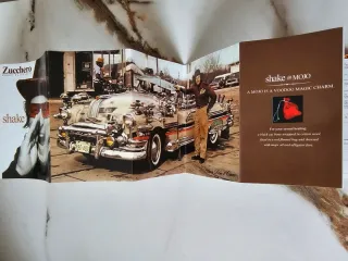 Zucchero - Shake MC musicassetta 2002