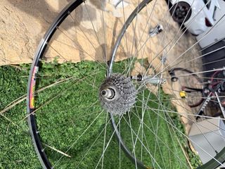 Ruedas Mavic SUP 9v y bujes TTP