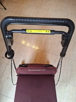 Andador Carrito Plegable Carlett