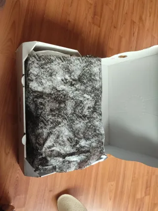 Nike Lebron XXI Morado/Dorado