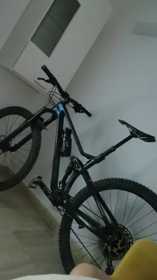 Bicicleta de carbono Ruedas 29