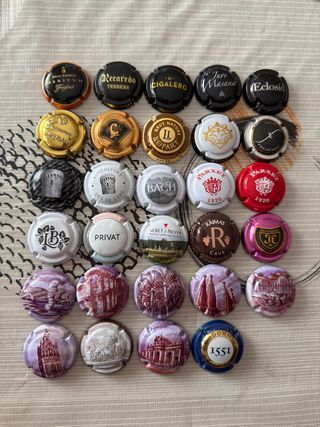 Lote de 29 chapas de cava