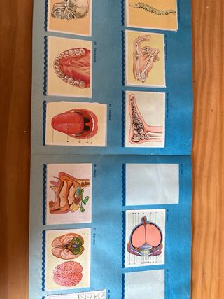 Álbum Cromos Nuestro Planeta Azul