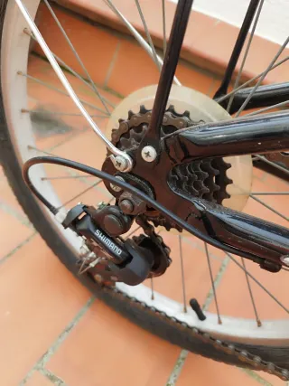 Bicicleta adulto (plegable)