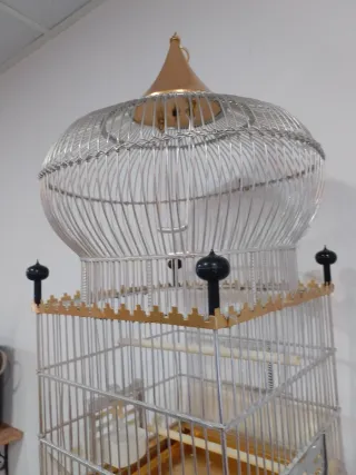 Jaula para pájaros dorada y transparente