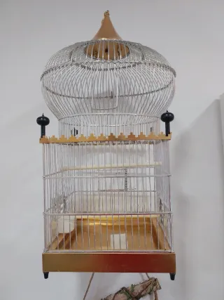 Jaula para pájaros dorada y transparente