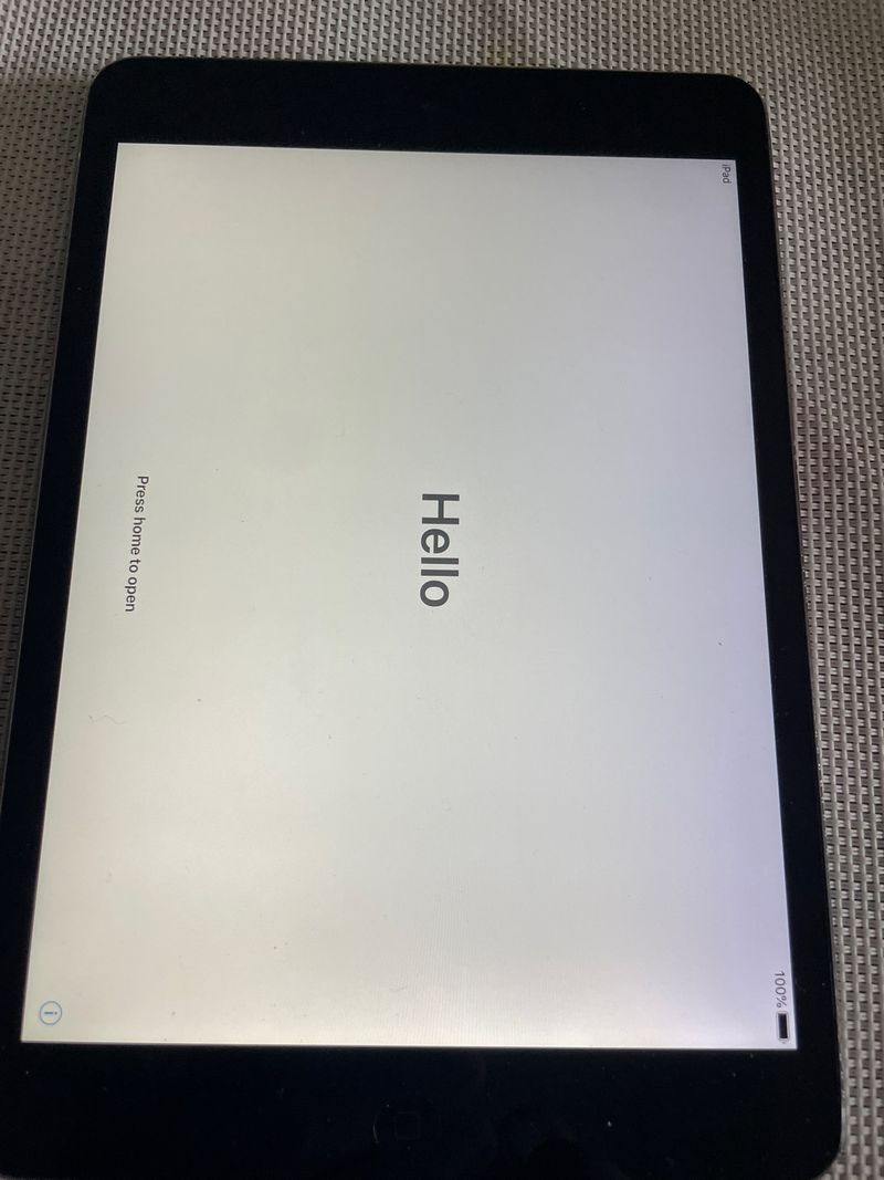 iPad Mini gris espacia