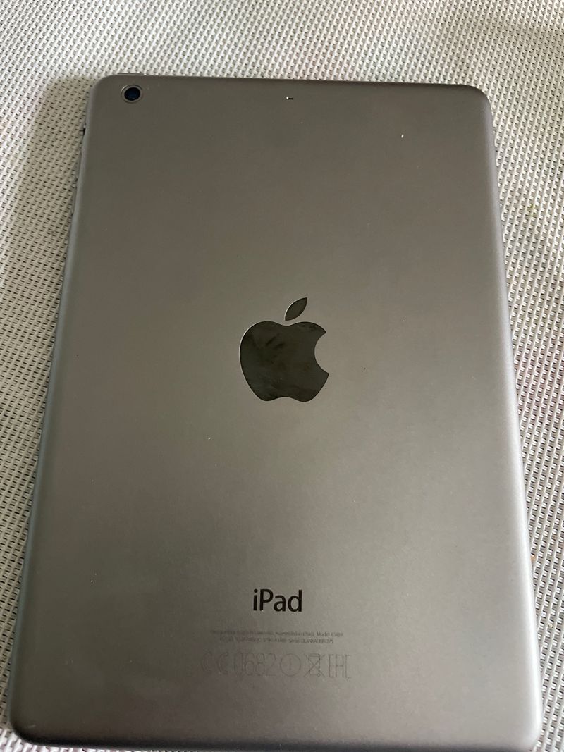 iPad Mini gris espacia afbeelding 2