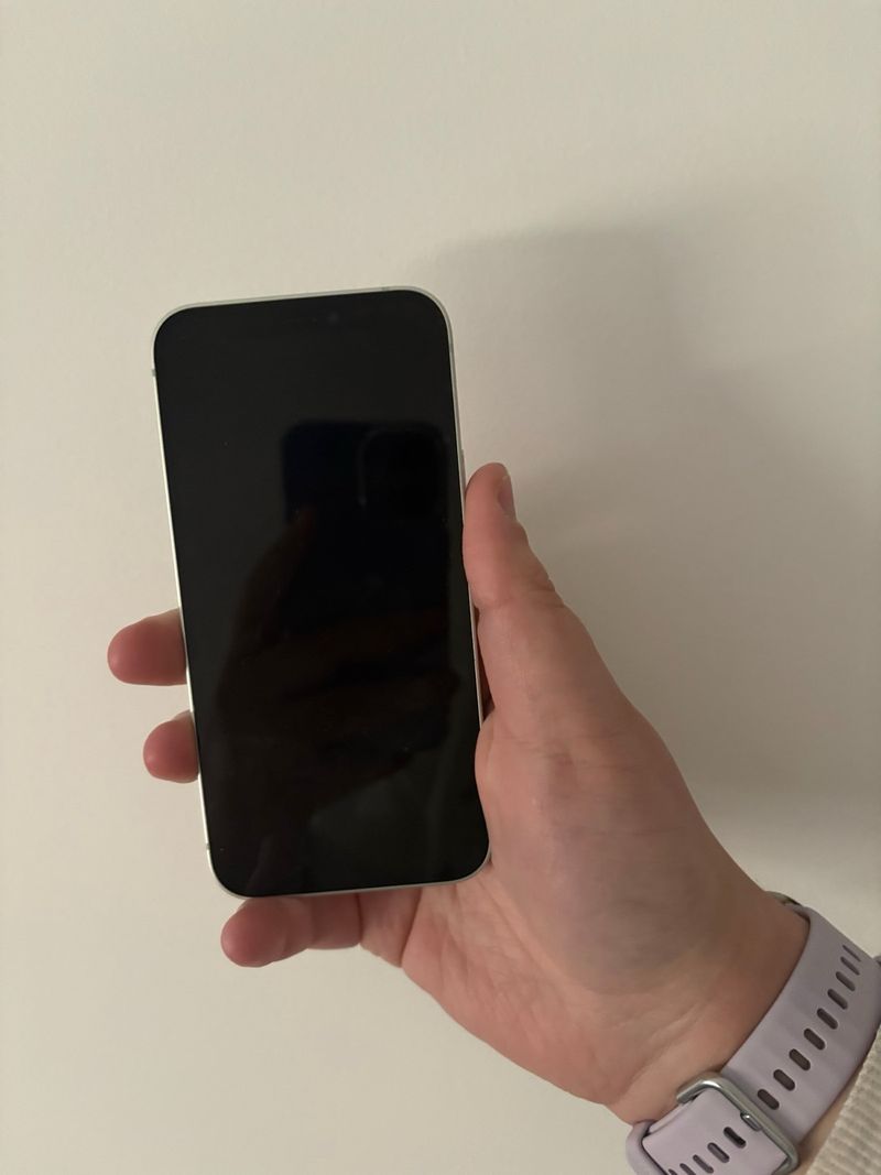 iPhone 12 mini Menta