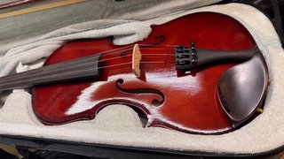 Viola GEWApure EW Ebano 33cm Montada