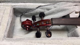 Viola GEWApure EW Ebano 33cm Montada