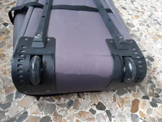 Bolsa de transporte para esquí