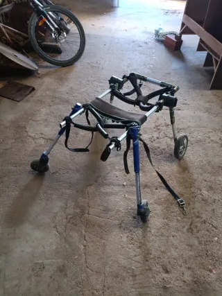 Sedia a rotelle per cani di taglia grande