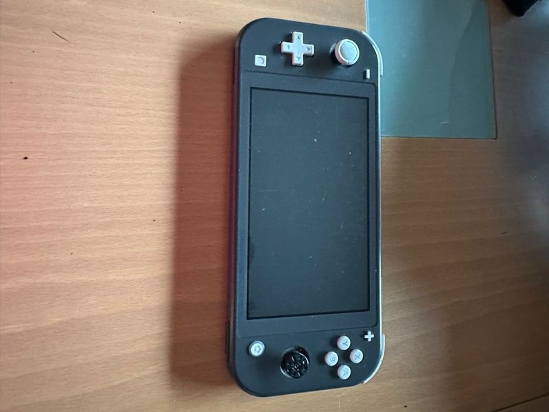 Nintendo Switch Lite Gris