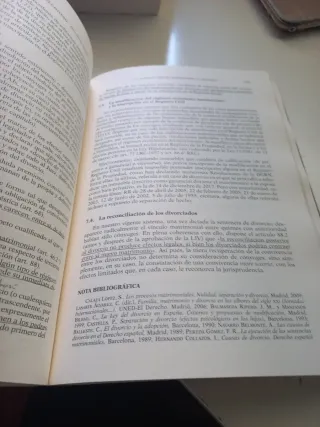 Principios de Derecho civil 20ª ed.: Tomo V: De...