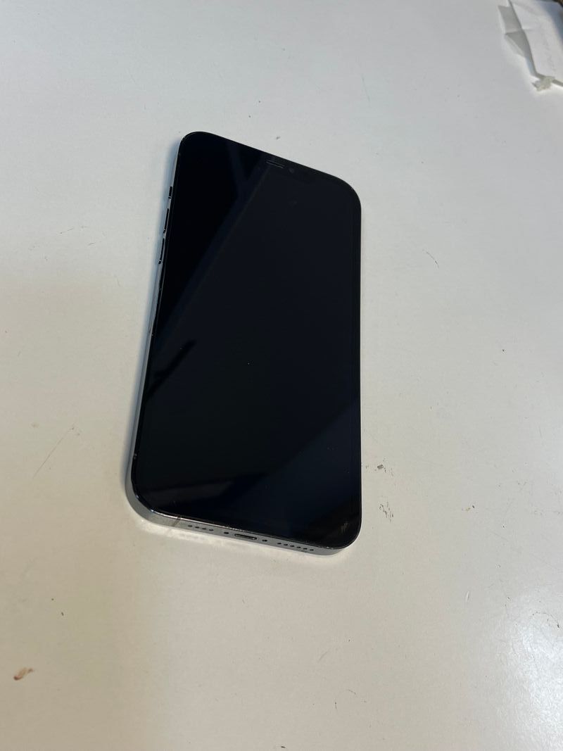 iPhone 12 Pro Max Azul afbeelding 2