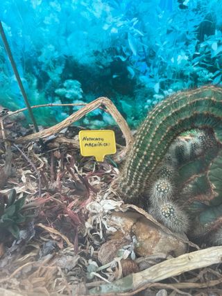 Acuario grande cristal y metal