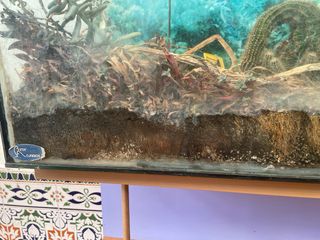 Acuario grande cristal y metal