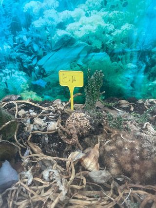 Acuario grande cristal y metal