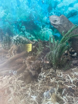 Acuario grande cristal y metal