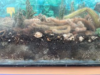 Acuario grande cristal y metal