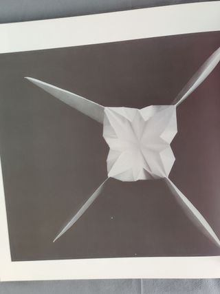 Origami - Grafica: Incontro con il Giappone