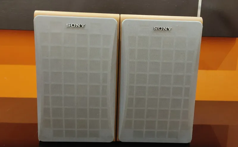 Altavoces Sony SS-CCP1 Marrón y Gris.