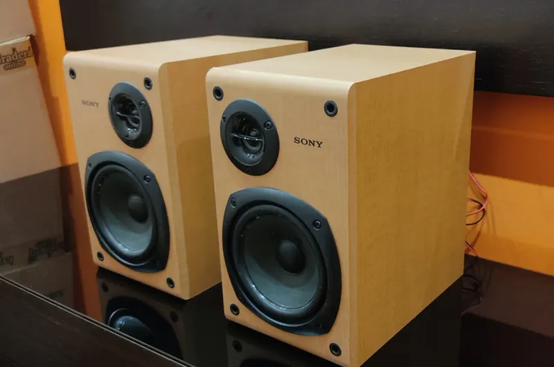Altavoces Sony SS-CCP1 Marrón y Gris. afbeelding 4