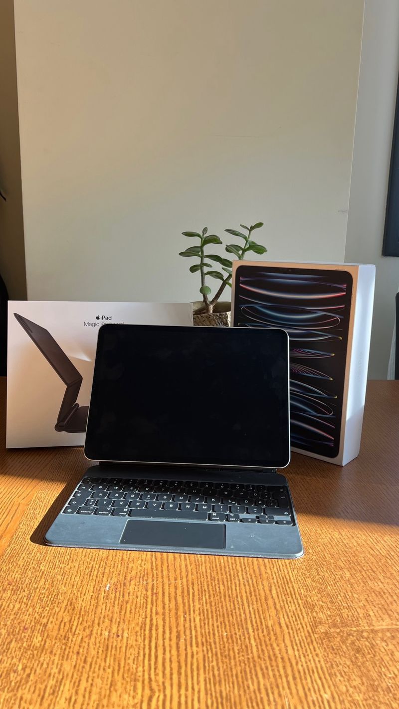 iPad Pro 11 4ª gen m2 + Magic Keyboard