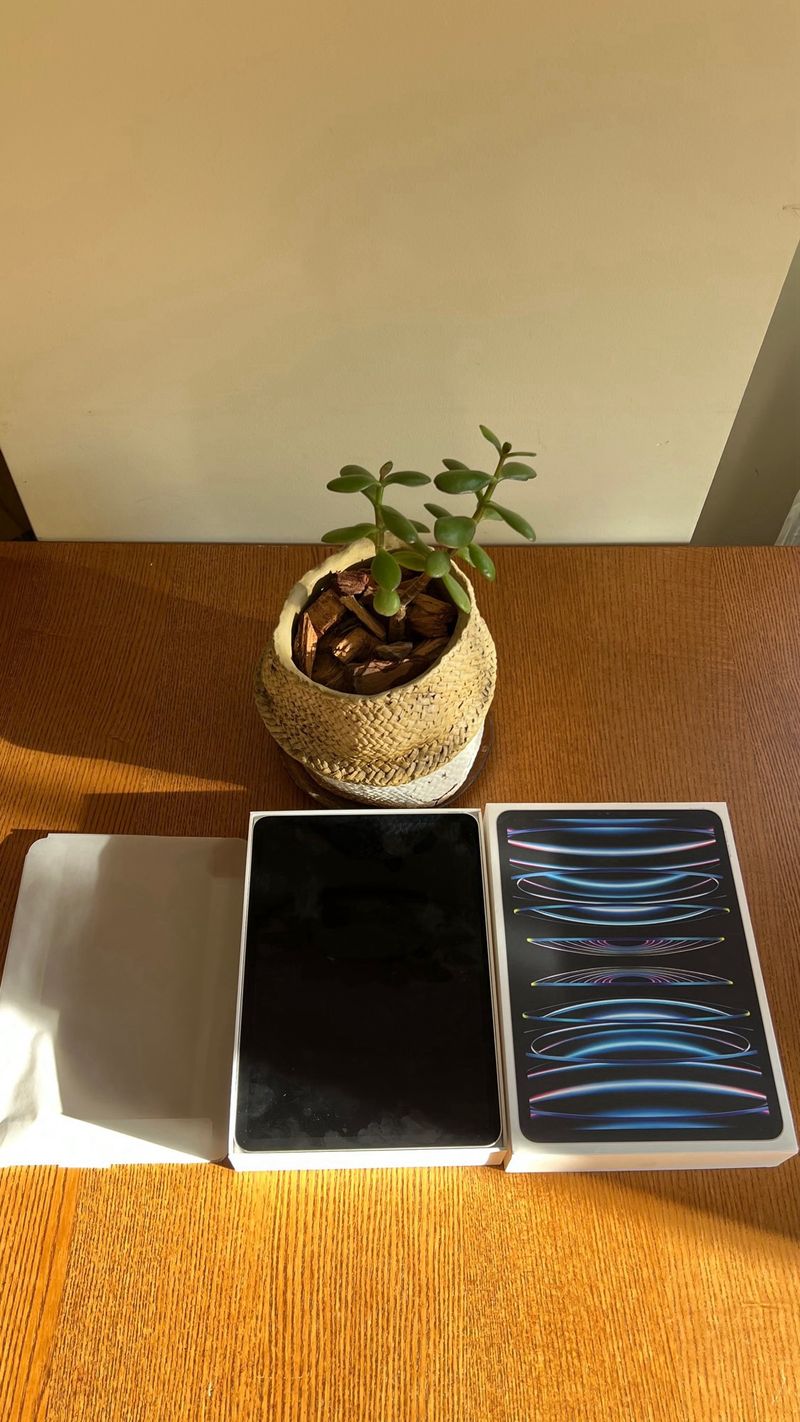 iPad Pro 11 4ª gen m2 + Magic Keyboard afbeelding 2
