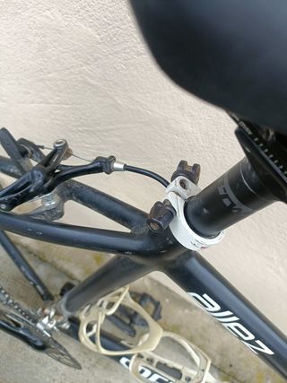 Specialized Allez Campagnolo Record Bici Corsa