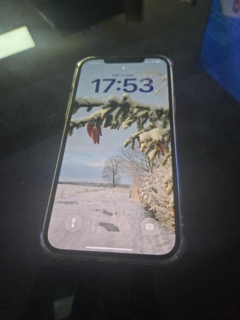 iPhone 12 Pro Max 256GB
