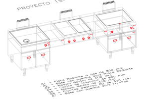 Cocina Industrial Profesional Mural Eléctrica y Ga