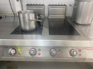 Cocina Industrial Profesional Mural Eléctrica y Ga