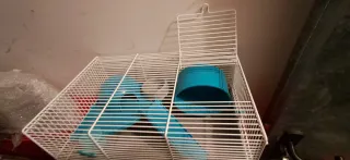 Jaula hámster con accesorios