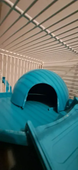 Jaula hámster con accesorios