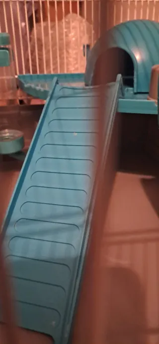 Jaula hámster con accesorios